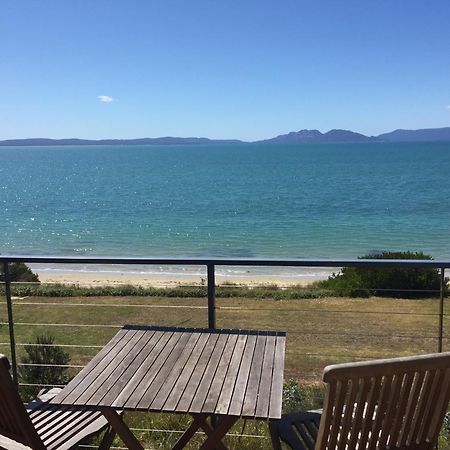 Swansea Beach Chalets Екстер'єр фото