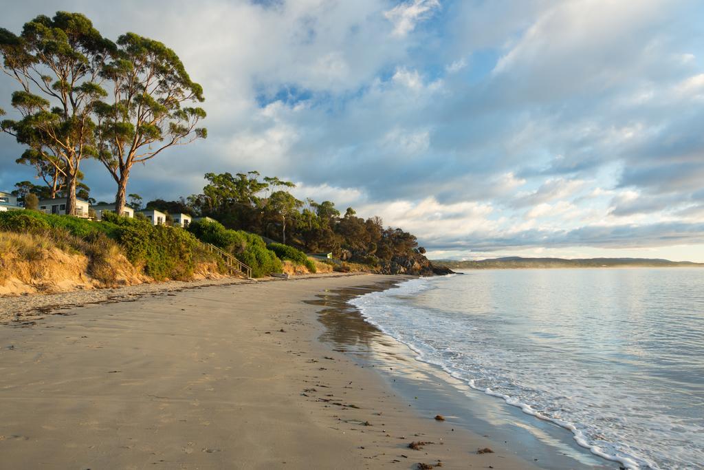 Swansea Beach Chalets Екстер'єр фото