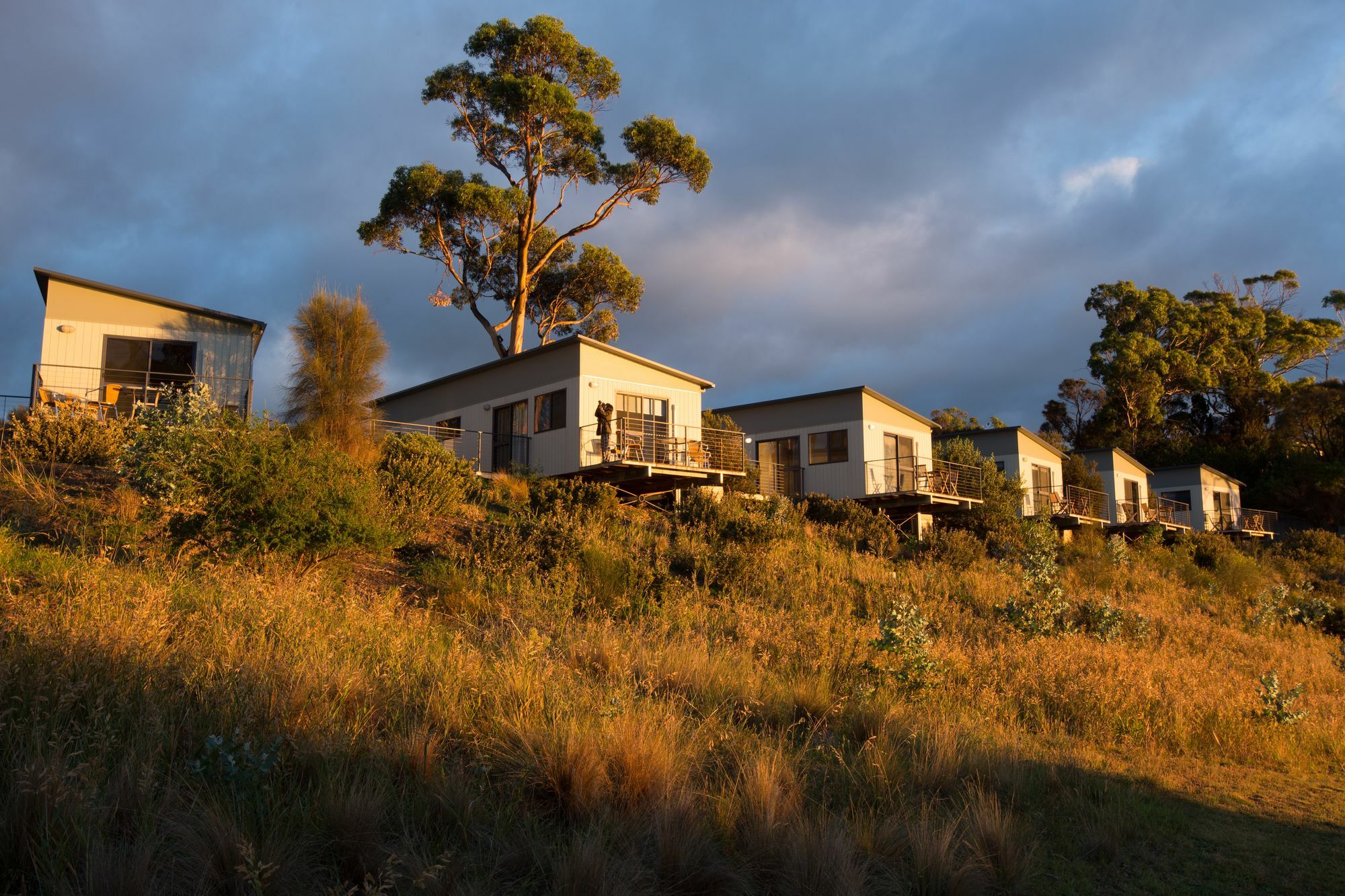 Swansea Beach Chalets Екстер'єр фото